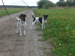 Haca & Fogo & Puma 22 aug 2010 003.jpg